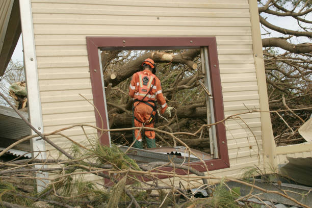 Best Tree and Shrub Care  in Boutte, LA